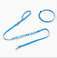 Waterproof Dog Leash - 5ft