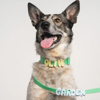Waterproof Dog Collar
