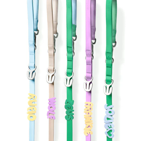 Waterproof Dog Leash - 5ft