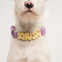 Waterproof Dog Collar