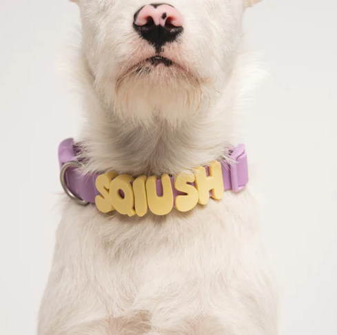 Dog Accessories Charms
