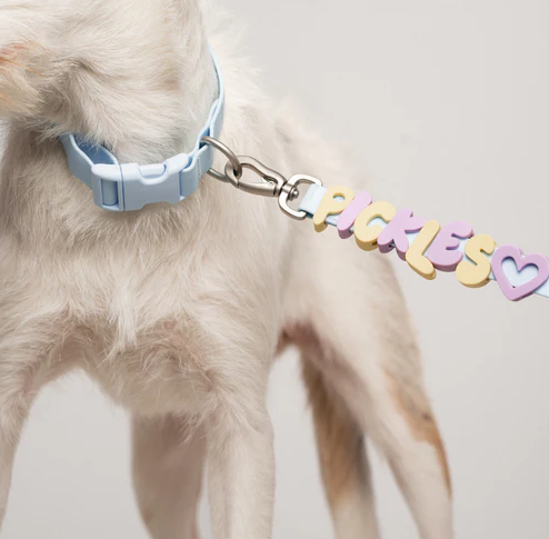 Waterproof Dog Collar
