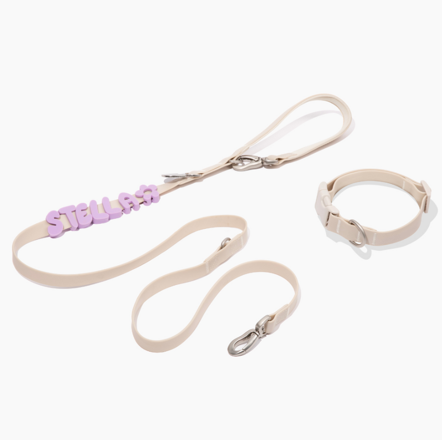 Waterproof Dog Leash - 5ft
