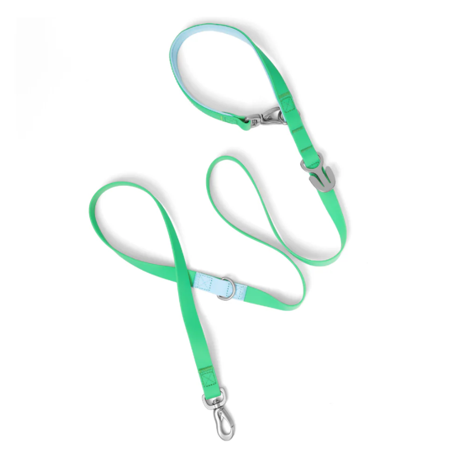 Waterproof Dog Leash - 5ft