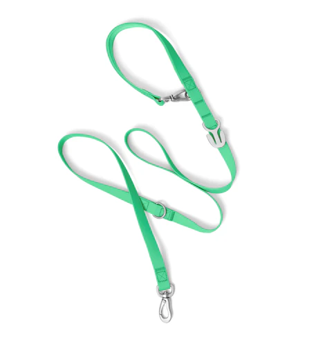Waterproof Dog Leash - 5ft