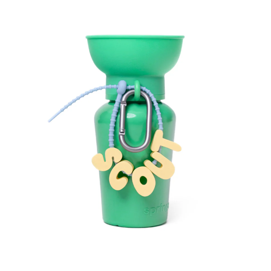 Adjustable Silicone Charm Strap