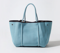 Sky Blue Everyday Tote