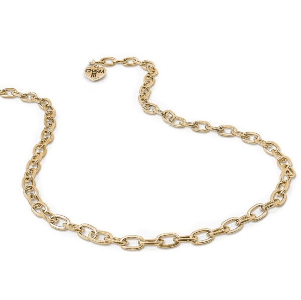 Charm It! Gold Chain Necklace