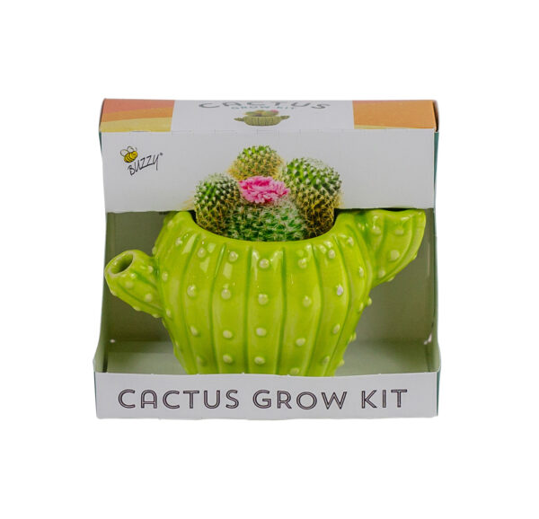 Cactus Grow Kit