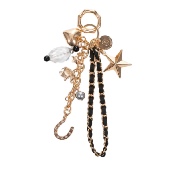 Wish Upon a Lucky Star Bag Charm